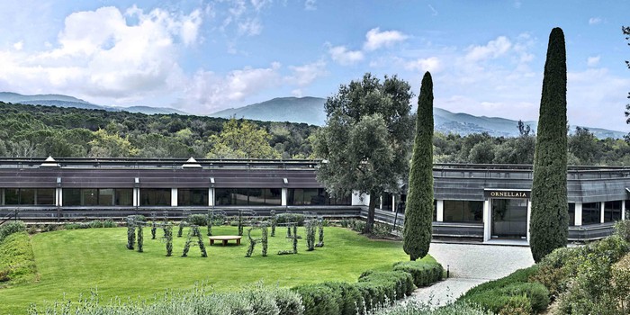 ghada_amer_installation_in_tenuta_dell_ornellaia_5.jpg